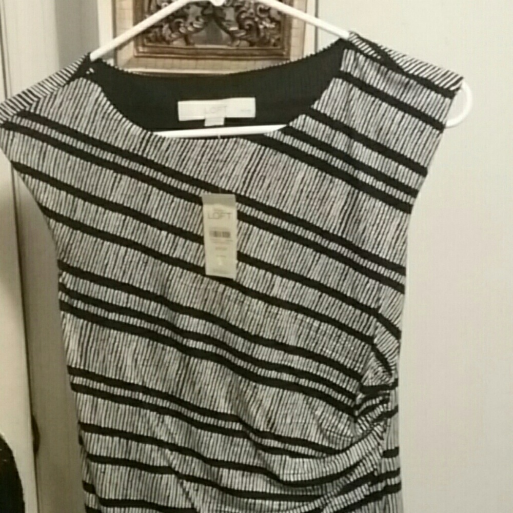 Ann Taylor Loft Dress